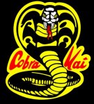 cobrakai300dpi.jpg