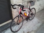 IMG055_editado-1.jpg