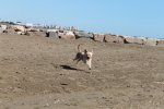 IMG_0203.JPG