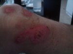 img004luw.jpg