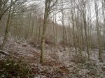 28012012296.jpg