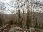 28012012297.jpg