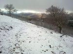 28012012298.jpg