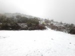 2012-01-27 13.16.35.jpg