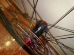 IMG-20120128-WA0001.jpg