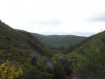 SAM_0051 (Copiar).JPG