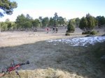 IMG_3788.jpg