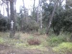 Foto0901.jpg