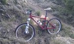 IMAG0646.jpg