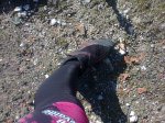 Foto0215.jpg