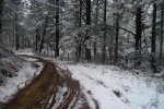 P1100106a.jpg