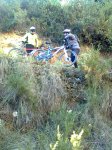 Imagen0844.jpg