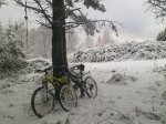 290120121100.jpg