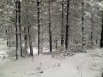290120121104.jpg