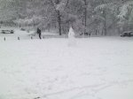 290120121109.jpg