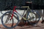 bici ricardo 002.JPG