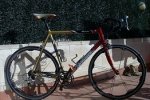 bici ricardo 008.JPG