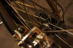 DSC00486.JPG