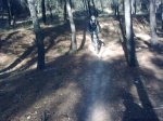 27102008_060.jpg
