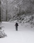 BTT-QUIROS_82.jpg