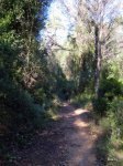 DSCN1277.JPG