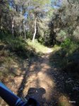 DSCN1275.JPG