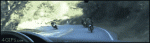 tumblr_luwvzndSYn1qdlh1io1_500.gif