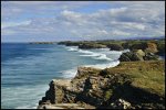 _DSC0134.jpg