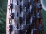 DSC03409.JPG