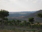 CIMG0857.JPG