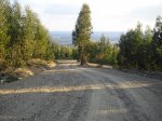 CIMG0875.JPG