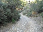 CIMG0890.JPG