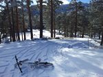 20120128_134512.jpg