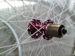 DSC04957_redimensionar.JPG