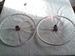 DSC04955_redimensionar.JPG