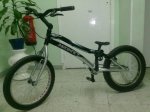 IMG-20120126-WA0000.jpg