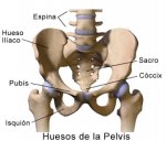 es1291214.jpg