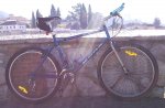 Kona FireM1.jpg