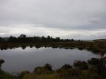 P1040311 (Copiar).JPG