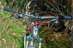 DSC_1290.JPG