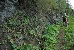 DSC_1294.JPG