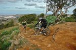 DSC_1312.JPG