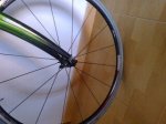 Foto0323.jpg