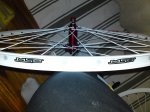 DSC04976_redimensionar.JPG