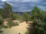 IMG00320-20120201-1601.jpg