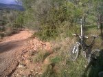 IMG00321-20120201-1604.jpg