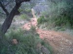 IMG00324-20120201-1633.jpg