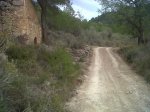 IMG00326-20120201-1649.jpg