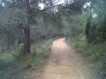 IMG00329-20120201-1712.jpg