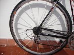 DSC03775.JPG